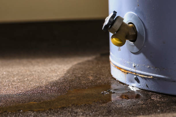 Best Ceiling water damage repair  in Middleburg, FL
