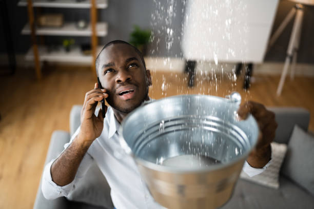 Best 24-hour water damage restoration  in Middleburg, FL