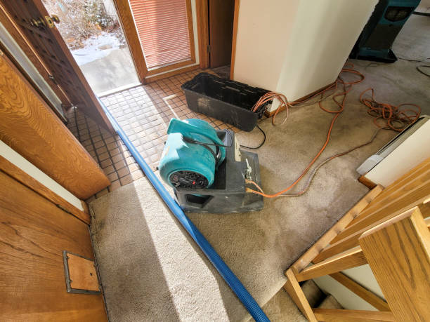 Trusted Middleburg, FL Water damage restoration Experts