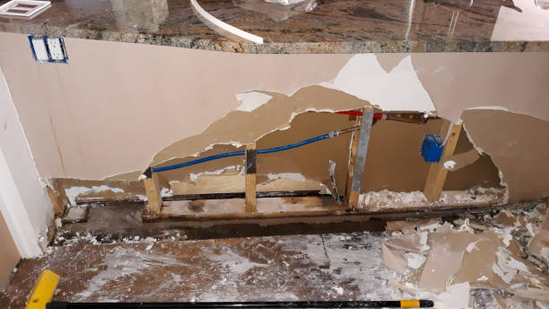 Best Residential water damage restoration  in Middleburg, FL