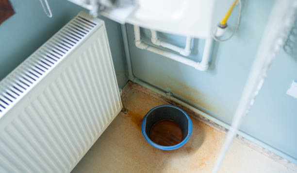 Best Sewage cleanup and water damage restoration  in Middleburg, FL
