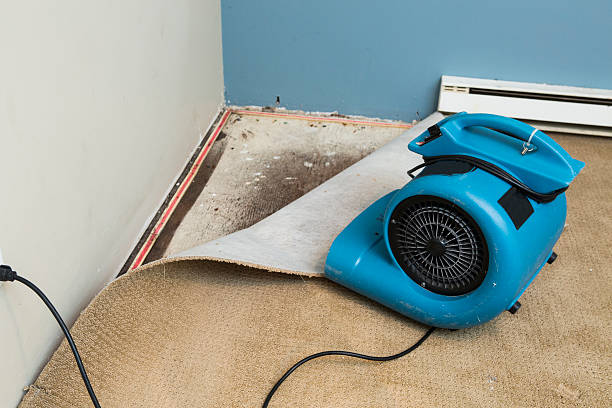 Water damage restoration mold remediation in Middleburg, FL