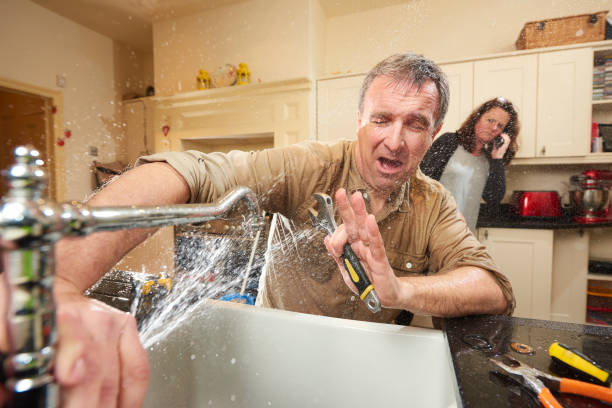Best Flooded house restoration  in Middleburg, FL